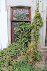 Заколдованное окно