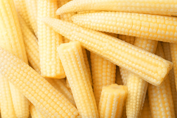 Fresh young baby corn as background