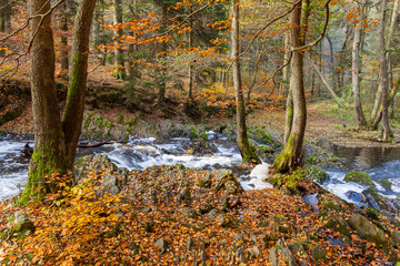 Herbstimpression vom Selkewasserfall im Selketal Harz
