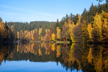 Herbstimpressionen vom Selketal-Stieg im Harz Spiegelung auf der Wasseroberfläche