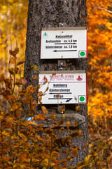 Herbstimpressionen vom Selketal-Stieg im Harz