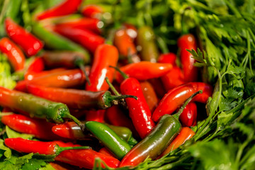 Chile serrano rojo 01