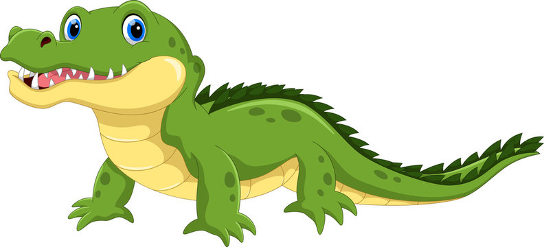 Vector illustration of crocodile cartoon isolated on white background