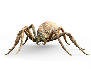 Enormous plague ridden spider isolated on a white background . 3d rendering 