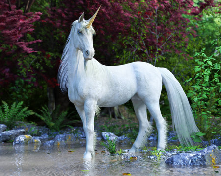 Fototapeta Majestic Unicorn posing in an enchanted forest