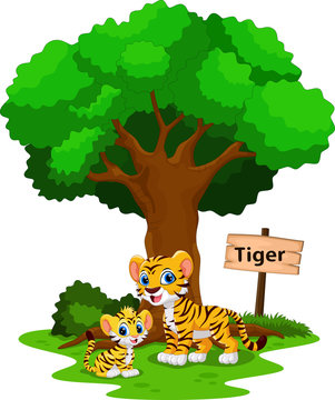 Funny tiger under a shady tree with a sign the identity