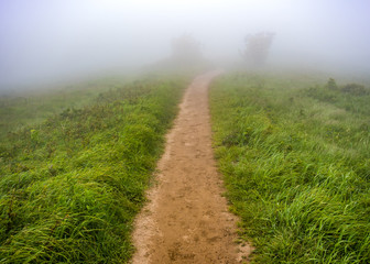 Trail Disappears Into the Fog
