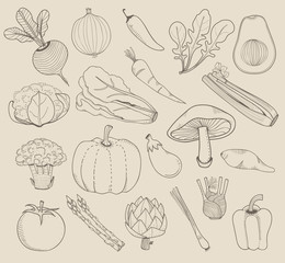 Illustration set of vegetables