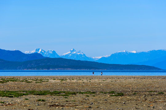Rathtrevor Beach with view of Snowcapped Mountain Ranges at low tide in Parksville, British Columbia, Canada