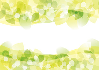 ミドリ たくさん