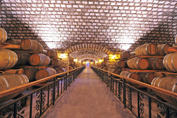 Wine cellar and wooden barrels