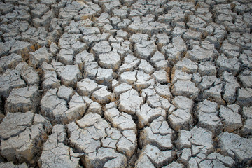 Dry soil in the swamp.