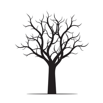 Black Tree without Leaves. Vector Illustration and graphic element.