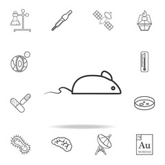 Fototapeta premium experimental mouse icon. Detailed set of science and learning outline icons. Premium quality graphic design. One of the collection icons for websites, web design, mobile app