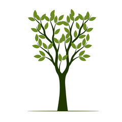 Green Tree with Leaves. Vector Illustration.