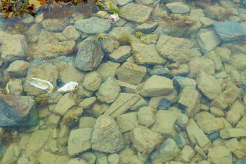 Stones under the sea water on the beach