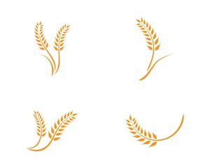 wheat Logo Template
