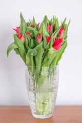 Beutufull red tulip flower on white background.