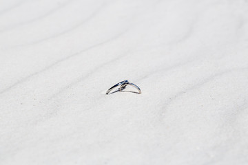 砂浜と指輪