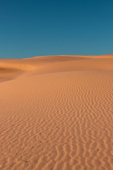 Fototapeta na wymiar Empty sand dune view with clear blue sky.