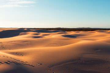Fototapeta na wymiar Desert view on golden hour.