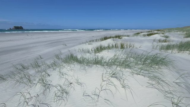 Sunny sand dunes #1 with ocean, Mangawhai Heads, New Zealand