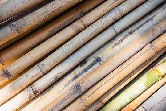 Pile of dried bamboo stick