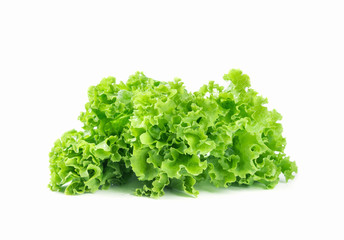 Fresh green lettuce isolated on white background.