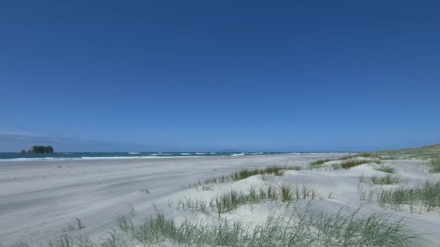 Sunny sand dunes #2 with ocean, Mangawhai Heads, New Zealand