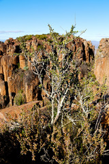   in south africa valley of   desolation