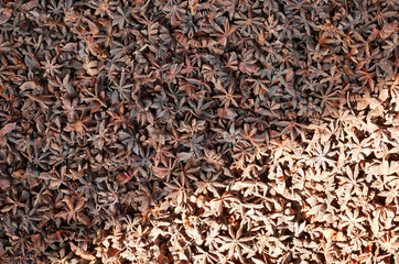 Food background of sun dried star anise spice fruit. Fragrant asian spices.