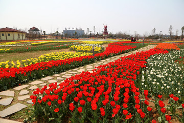 The spring flowers and sea scenery.