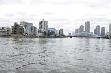 Obraz premium 冬の隅田川