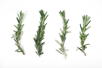 Fresh green sprigs of rosemary isolated on a white background