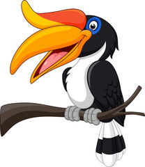 cartoon hornbill bird isolated on white background © tigatelu
