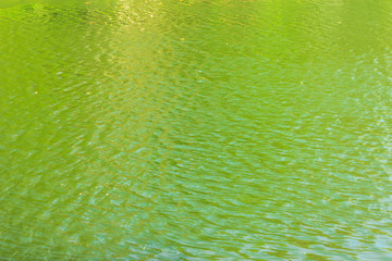 green ripples on the surface of water in lake