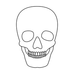 skull head skeleton icon vector illustration design