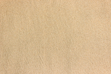 clear wet sands beach texture background.