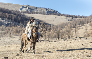 Naklejka premium mongolian man wearing a wolf skin jacket, riding his horse in a steppe in Northern Mongolia