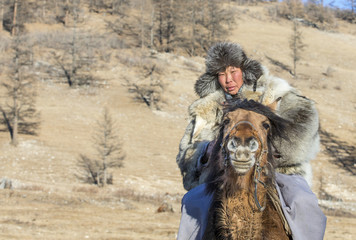 nomad man wearing a wolf skin jacket, riding his horse in a steppe in Northern Mongolia