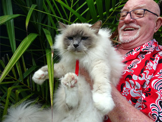 Happy Man Holding his Pet Cat