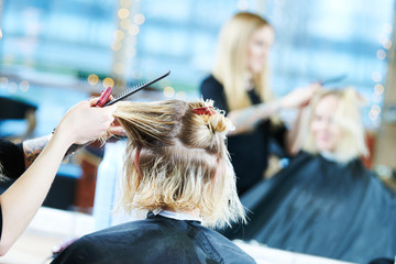 Barber or stylist at work. Hairdresser cutting woman hair