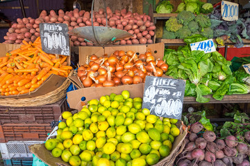 Vegetables and salad in baskets at a market in Valparaiso, Chile