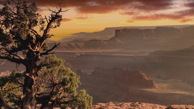 Isolated old tree at the edge of a cliff overlooking a stunning scene where the cloudscape is an animated sunset above rugged sandstone, geological desert landscape