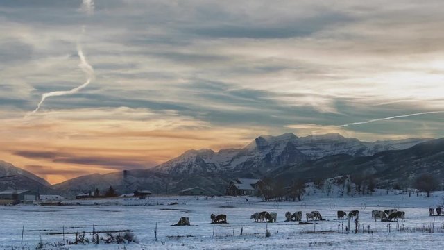 Zooming to reveal a beautiful, winter, mountain range with cows grazing and an animated, time lapse sky at dusk