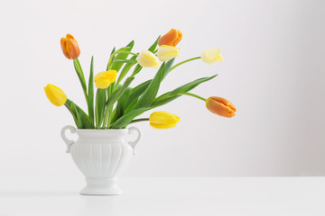 yellow tulips on white background