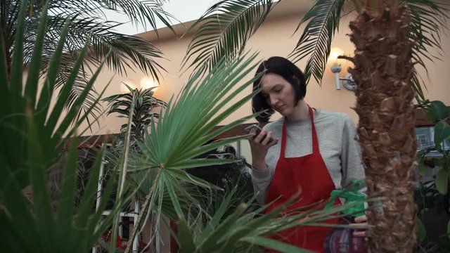 Attractive woman gardener in red apron using smartphone in greenhouse