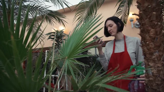Young woman gardener in red apron using smartphone in greenhouse