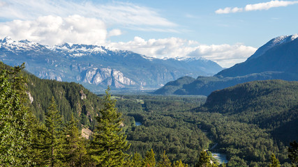 Gorgeous view on mountains through trees of deep green forest