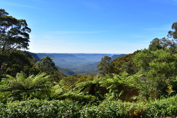 Fototapeta na wymiar View on Blue Mountains